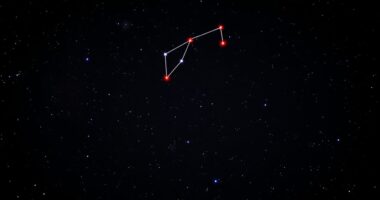 starry hunter s night map