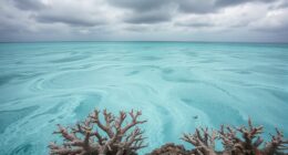 ocean acidification reaches critical levels