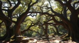 whispering oaks fortune telling