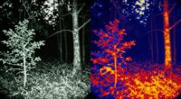 different technologies for vision