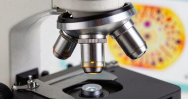 microscope types comparison