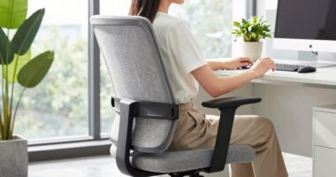 petite ergonomic office chairs