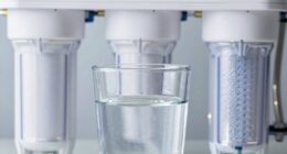 removes contaminants and impurities