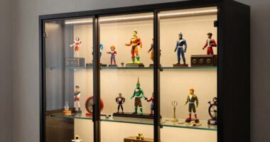 top collectible display cabinets