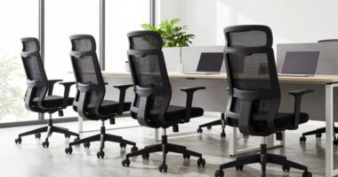 top ergonomic office chairs