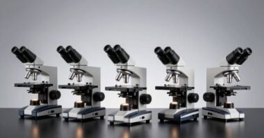 top microscopes for 2026