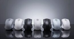 top vertical mouse picks