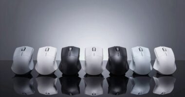 top vertical mouse picks