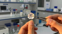 Phase 1 synthesis. What the four sectors crystallize.