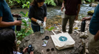 Mile River Watershed Association Surges In Global Coverage