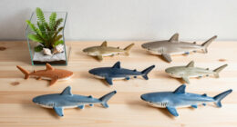 Types Of Sharks