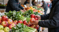 The Impact Of Pesticide-Residue Regulations On Food Importers