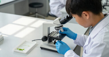 15 Best Microscope Slides for Students in 2027
