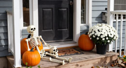 15 Best Skeleton Decoration Props for Halloween Displays in 2027