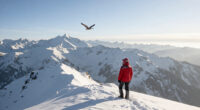 Why Birds Can Fly Over Mount Everest (2020)